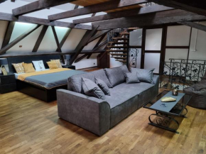 Galerie Vila Lucia 5 -Loft apartmán Plzen
